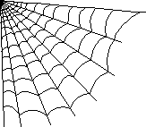 [Spider's Web]