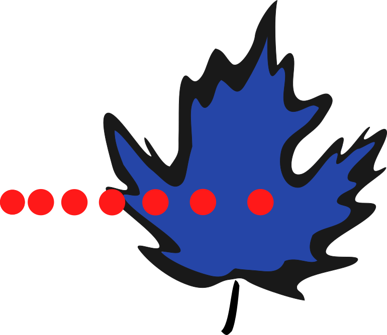Maple leaf with neutrons